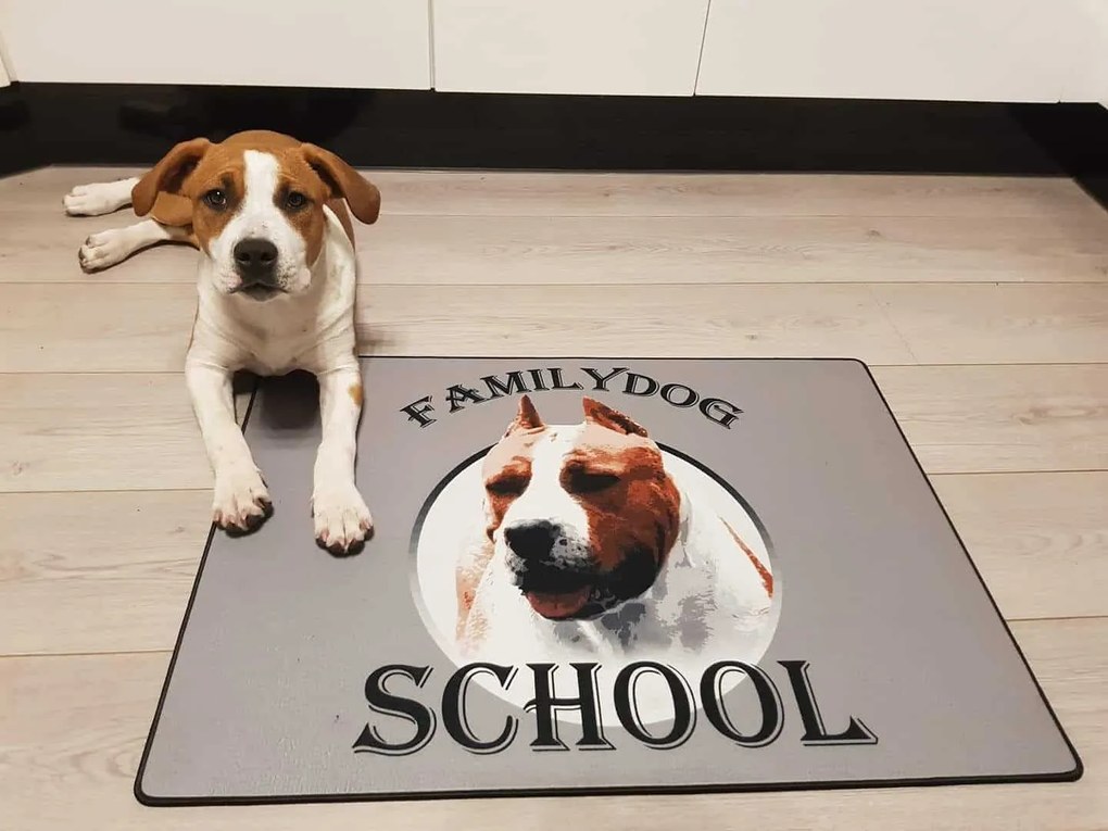 Itt lakik egy horgász vicces feliratos kókusz lábtörlő - több méretben (Válassz méretet: 60*40 cm, Válassz szállítási opciót: Normál szállítást kérek)