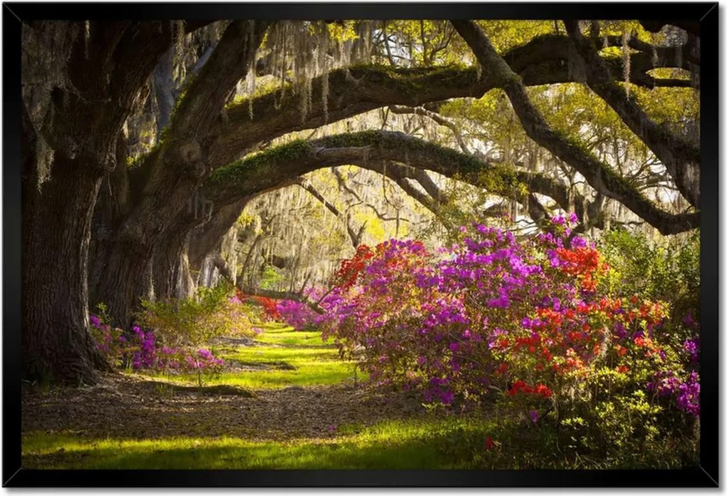 Poszterek keretben 60x40 Virágok a parkban