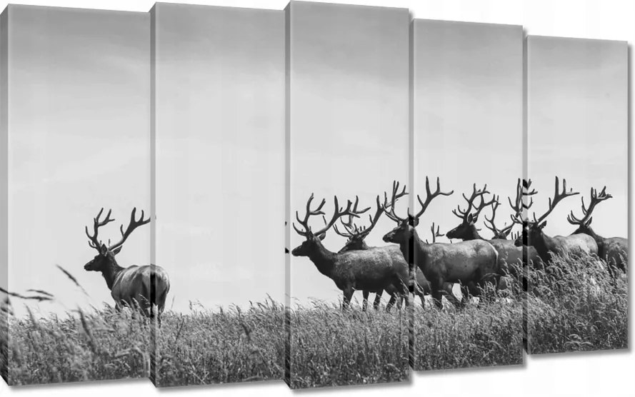Vászonkép 150x95 Szarvascsorda