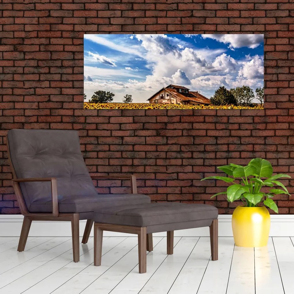 Napraforgó mező képe (120x50 cm)