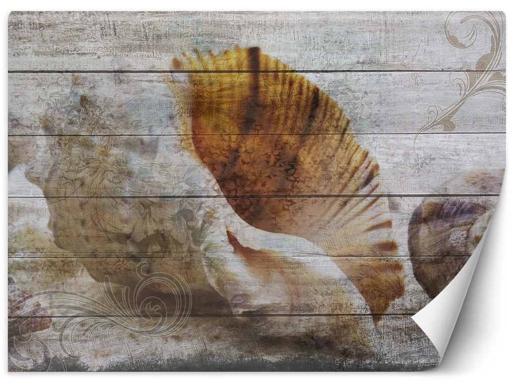 Gario Fotótapéta Kagylók vintage stílusban Anyag: Vlies, Méret: 150 x 105 cm