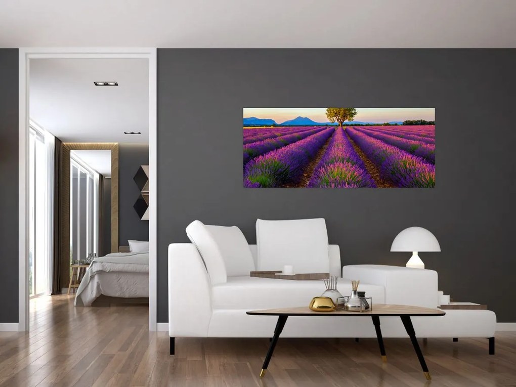 Kép - Levendula mező (120x50 cm)