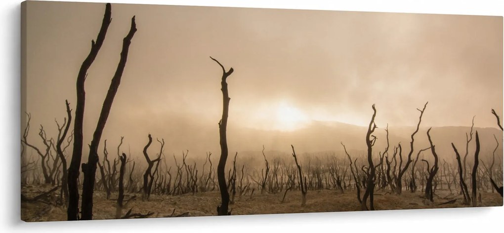 Kép - Csupasz fák (120x50 cm)