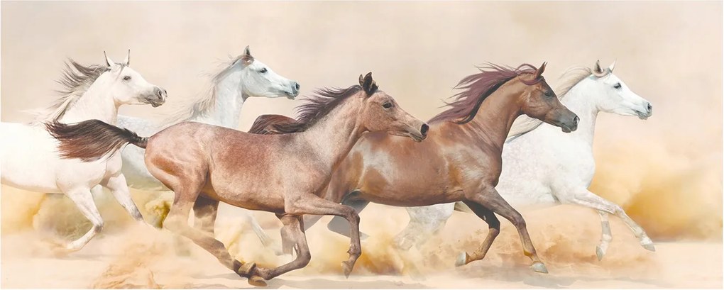 Lacobel fotónyomtatott üveg Lovak galoppban XXL