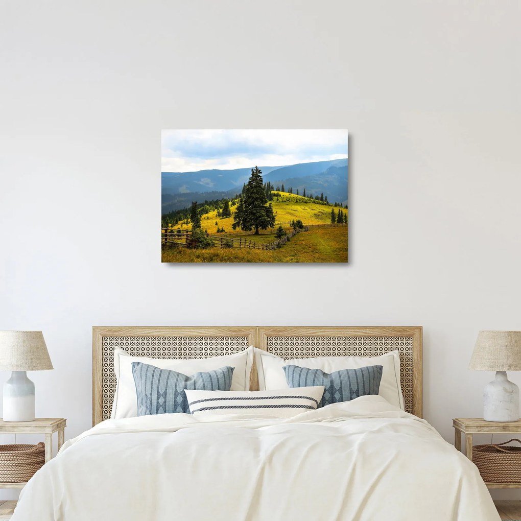 Kép - Hegyi rét (üvegen) (70x50 cm)