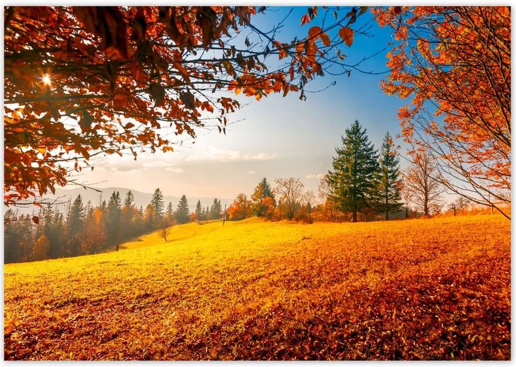 Poszterek 100x70 Őszi táj