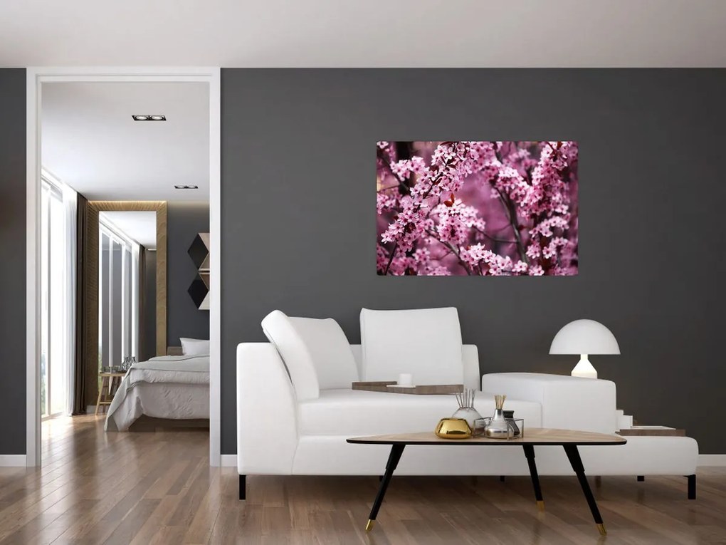 Kép - Rózsaszín sakura (90x60 cm)