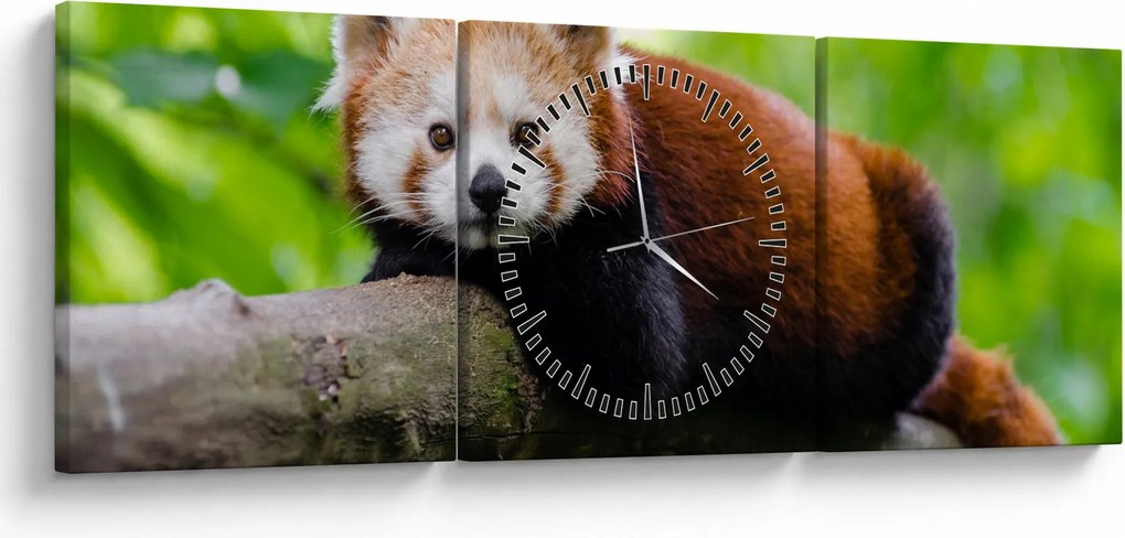 A vörös panda képe (órával) (90x30 cm)