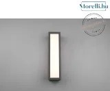 TRIO 226260142 FUERTE Modern Kültéri Fali Lámpa LED+E27 IP20