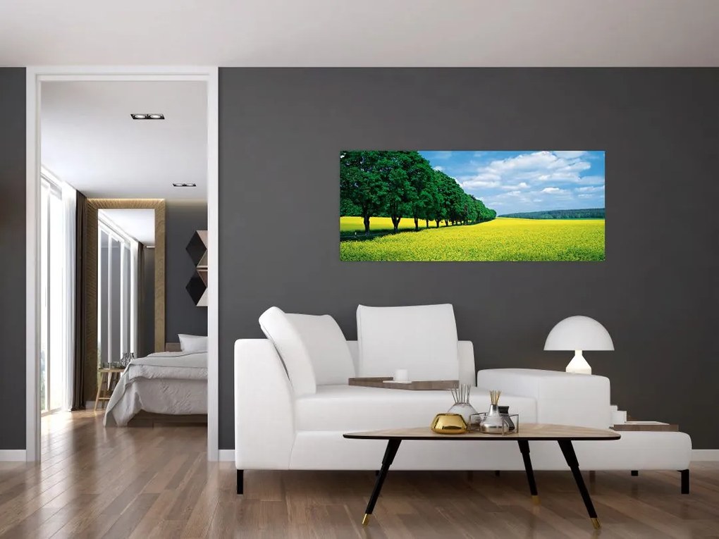 A mező képe egy sikátorral (120x50 cm)