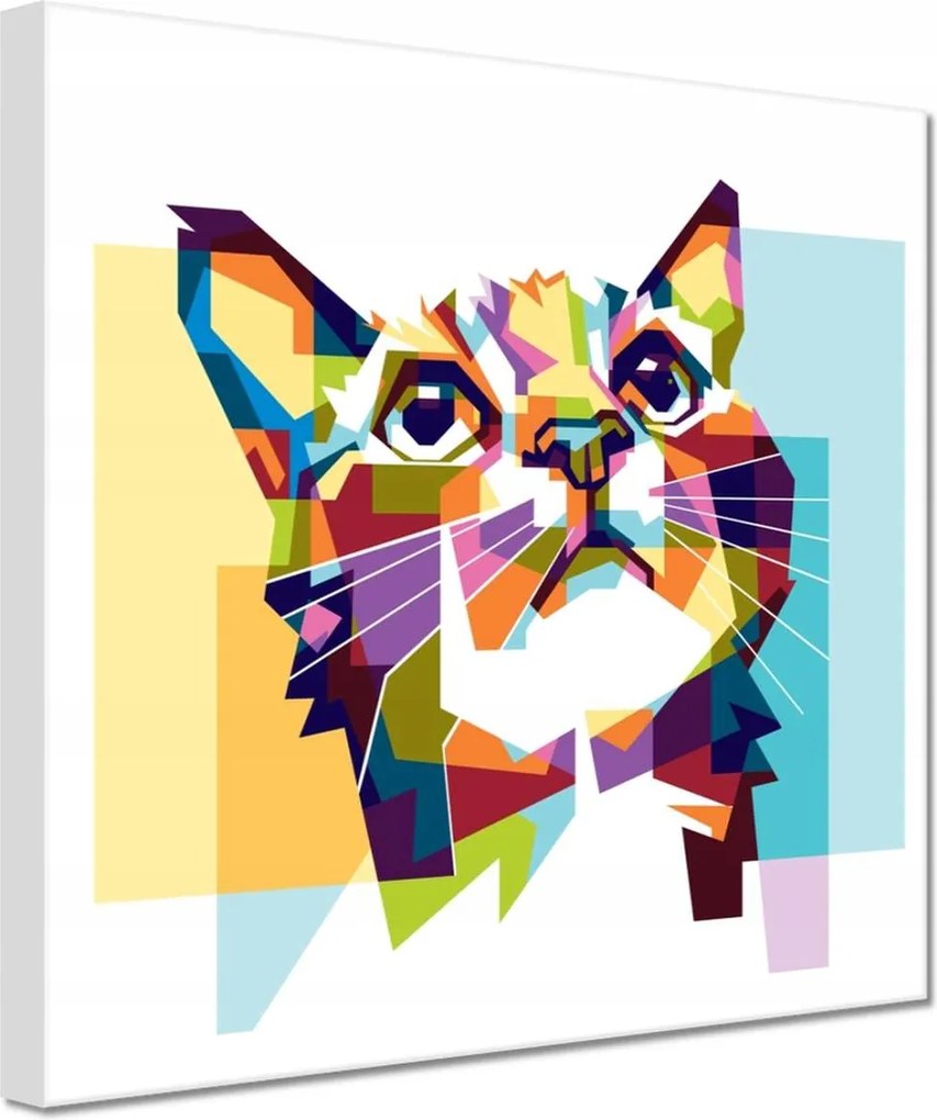 Festmények 20x20 Absztrakt macska