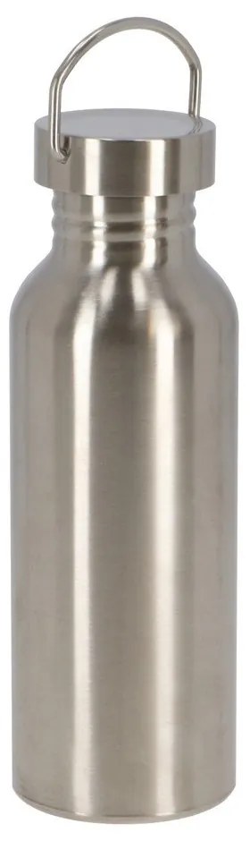 Ezüstszínű rozsdamentes acél ivópalack 650 ml – Esschert Design