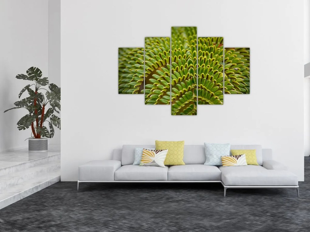 Kép - Fern (150x105 cm)