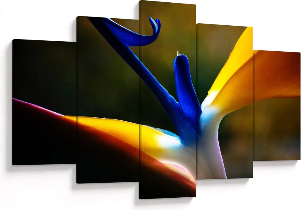 Kép - Egzotikus virág (150x105 cm)