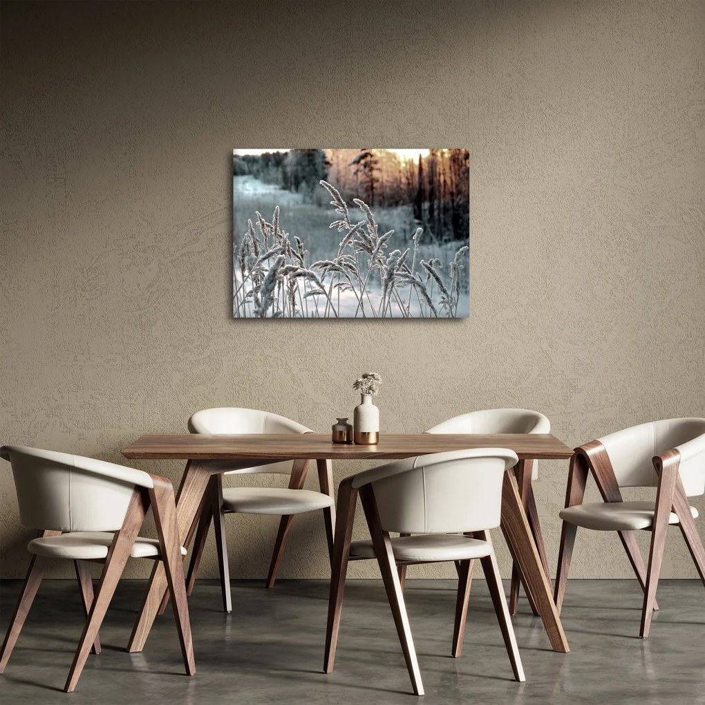 Kép - Fagyott rét (70x50 cm)