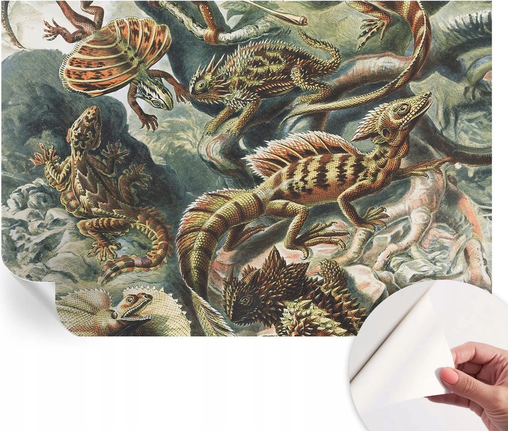 Öntapadós fali fotótapéta Hálószobába Egzotikus hüllők 152x104 cm