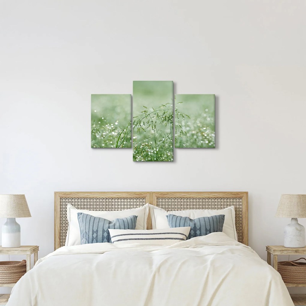 Kép - Reggeli harmat a fűszálakon (90x60 cm)