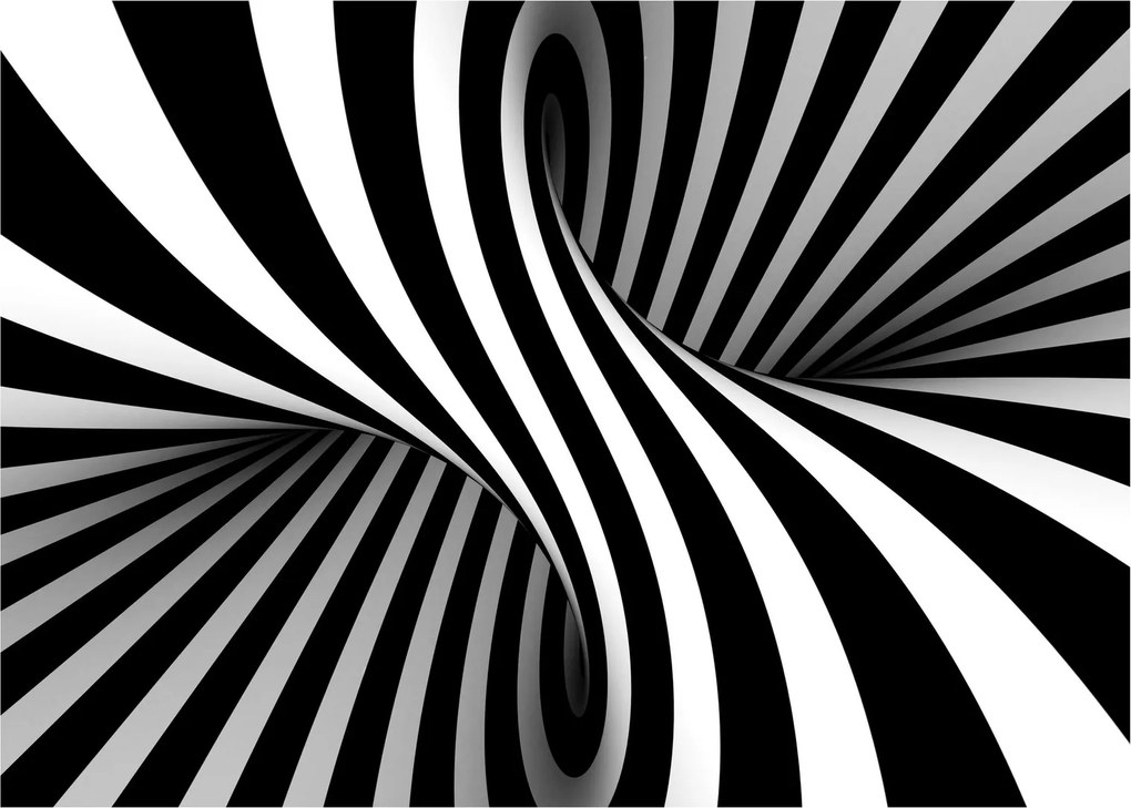 Absztrakt kép zebra csíkokkal (70x50 cm)
