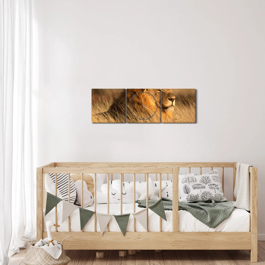 Kép - Etosha Nemzeti Park (órával) (90x30 cm)