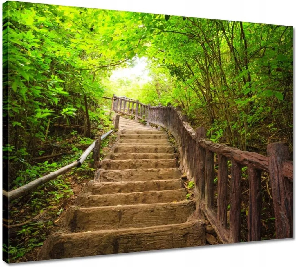 Vászonkép 50x40 Lépcsők az erdőbe