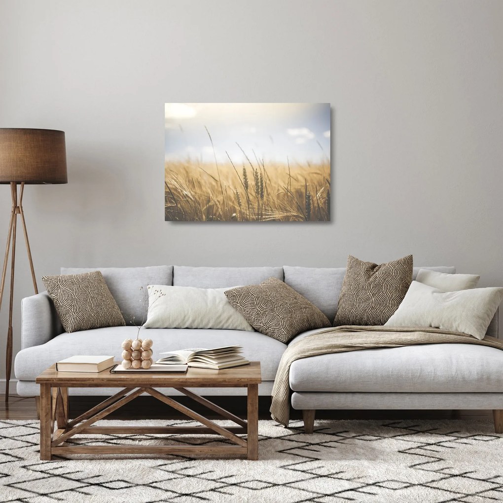 A gabona képe (üvegen) (70x50 cm)