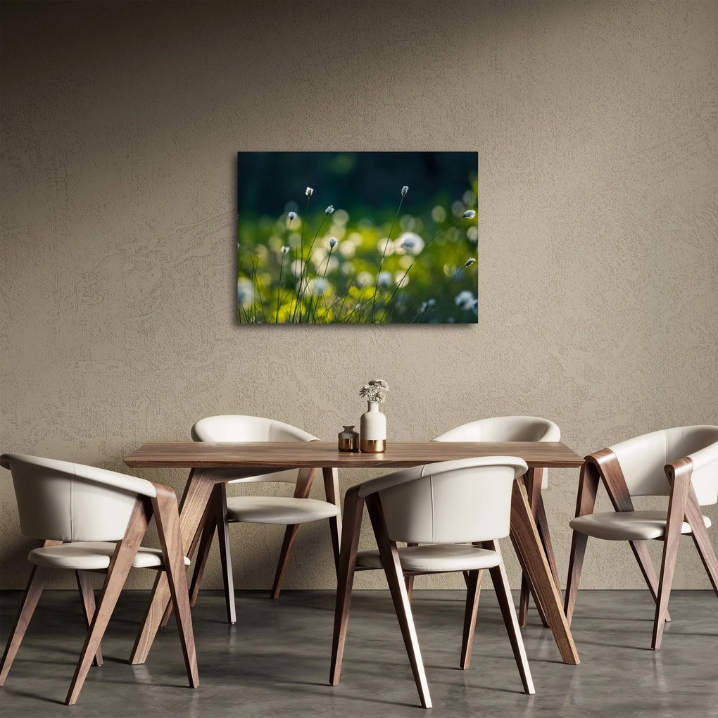 Kép - Fű (70x50 cm)