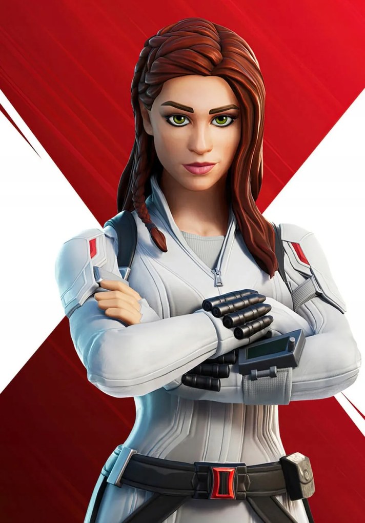 Fortnite poszter, Fortnite