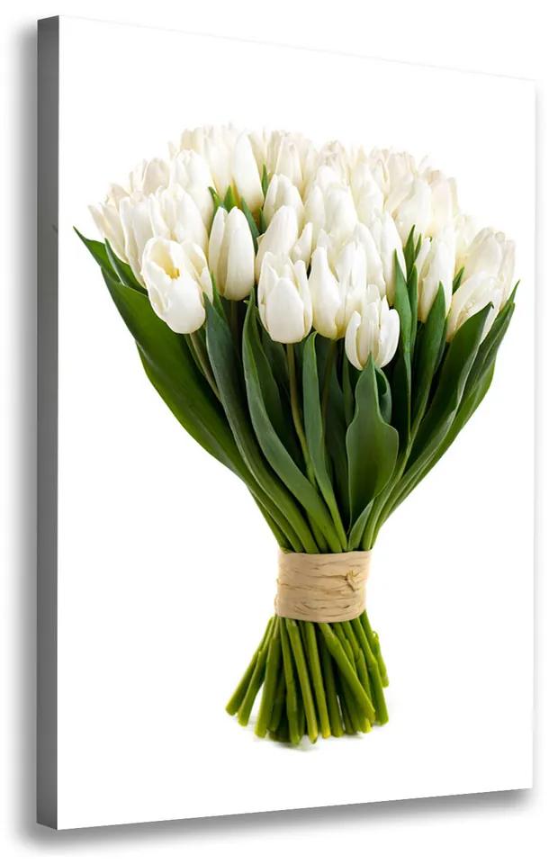 Fali vászonkép Fehér tulipán pl-oc-70x100-f-40664213