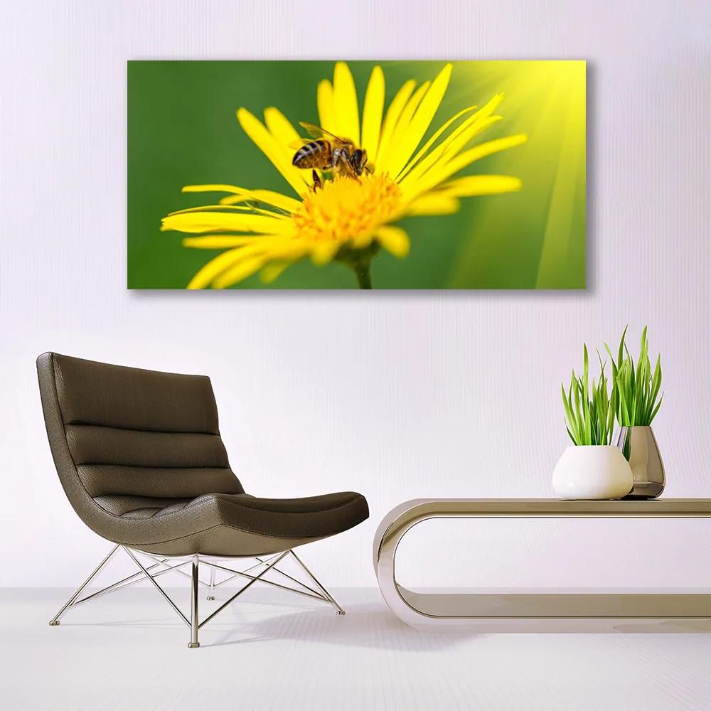 Vászonkép falra Bee Virág Természet 120x60 cm