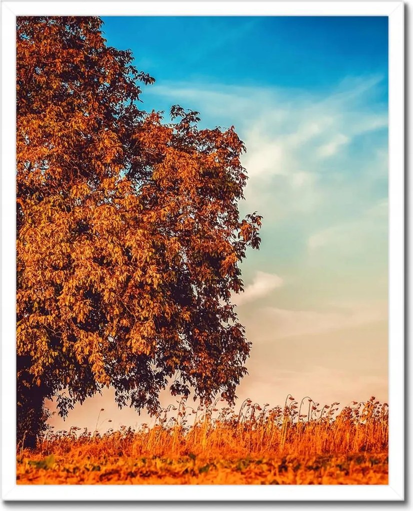 Poszterek keretben 40x50 Őszi színek Tájkép