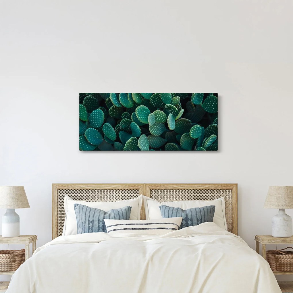 Kép - Opuntia (120x50 cm)