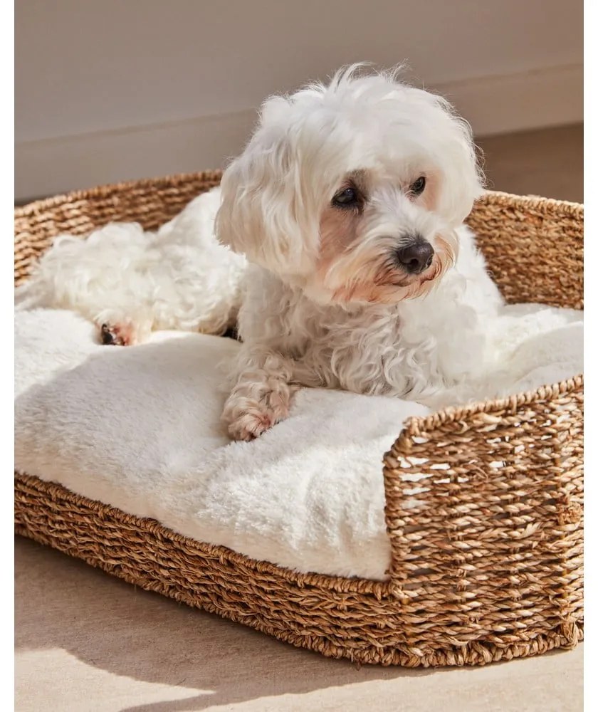 Fehér fekhely kisállatoknak 40x60 cm Codie – Kave Home