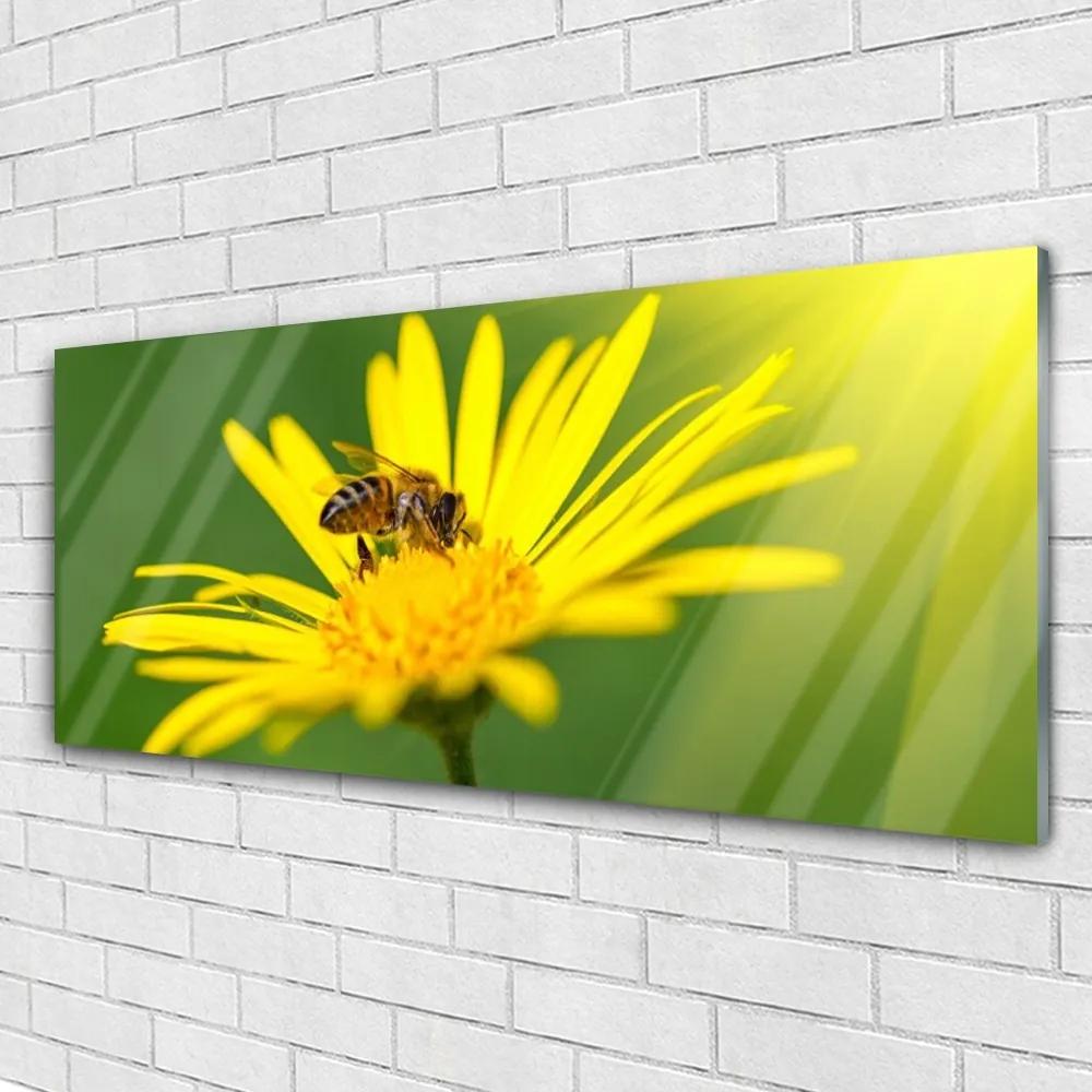 Modern üvegkép Bee Virág Természet 125x50 cm