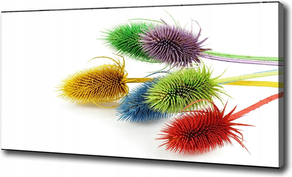 Vászonkép modern Bogáncs 100x70 cm