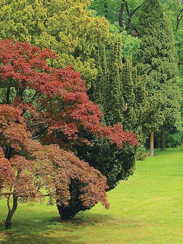 Garden poszter, fotótapéta, Vlies (206x275 cm, álló)