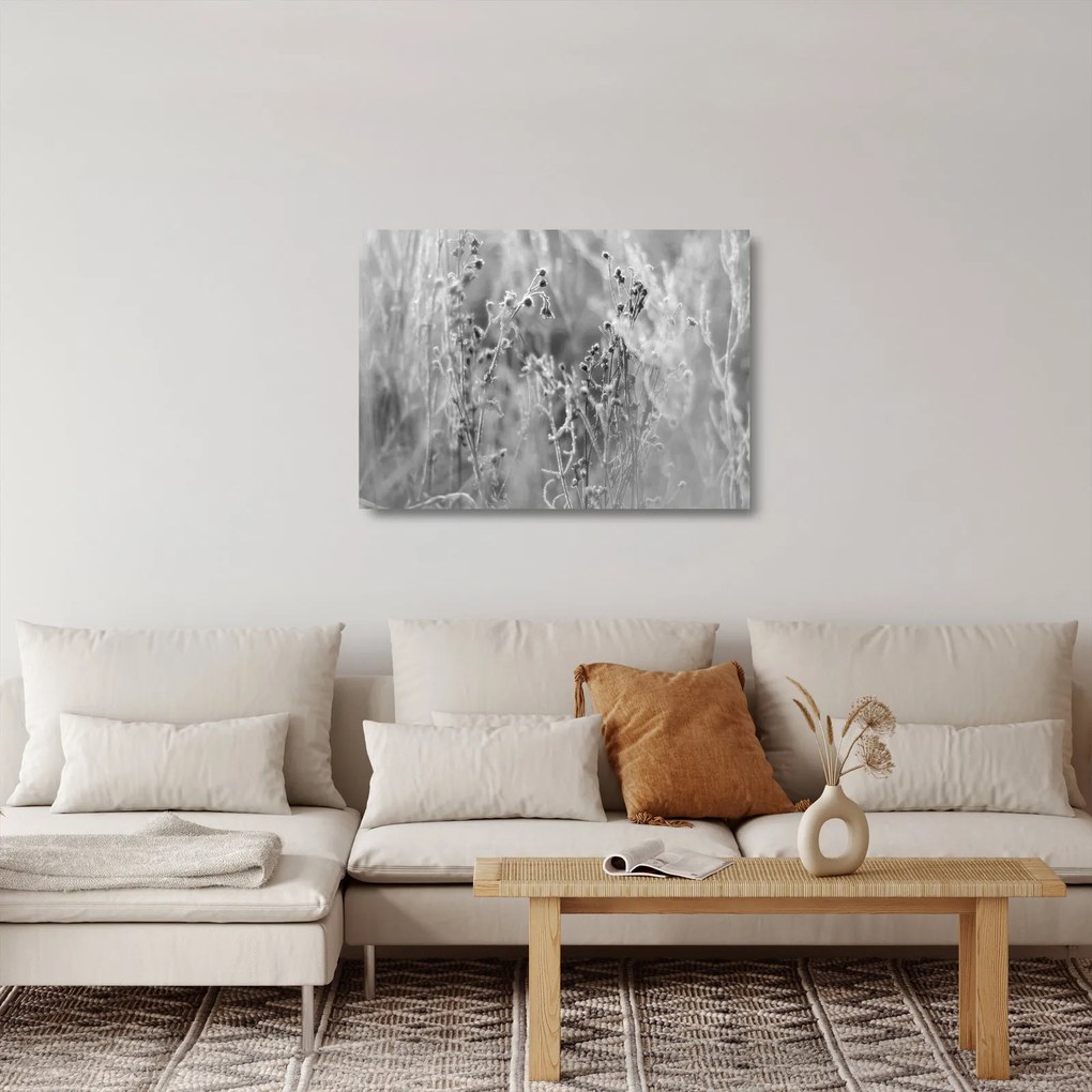 Üveg kép - Wild Meadow (70x50 cm)