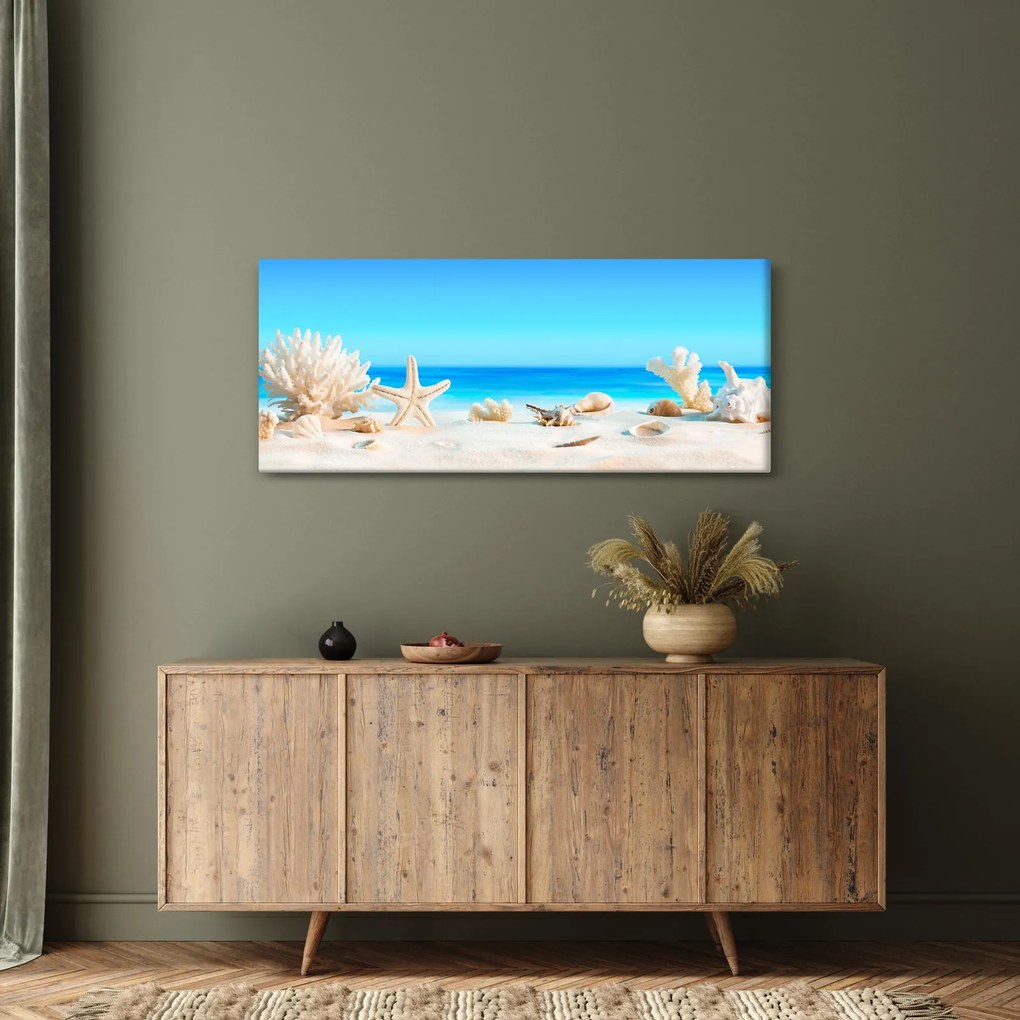 Kép - Csendélet kagylóval (120x50 cm)