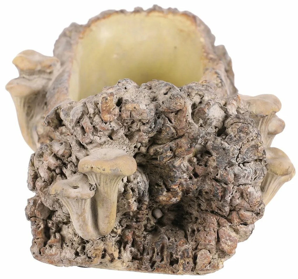 Beton burkolat - virágládika, fa gombákkal, 36 x18 x 13 cm, barna