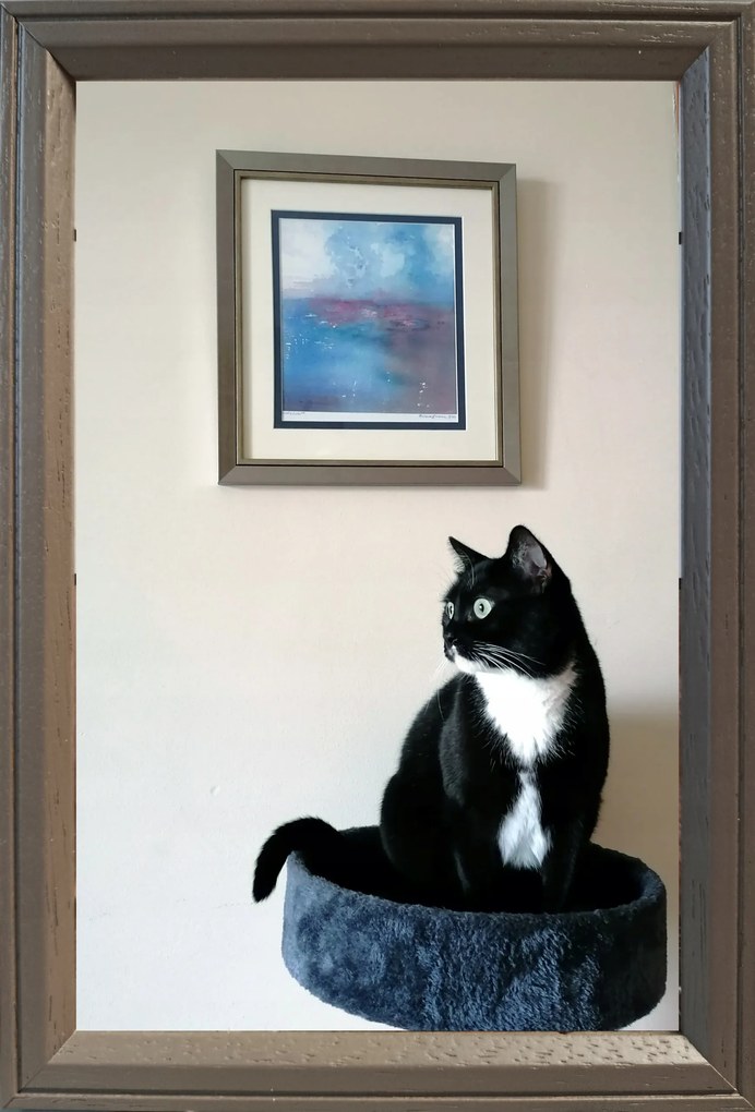 Ezek a képkeretek várnak rád: 15x23 álló és akasztható Delta