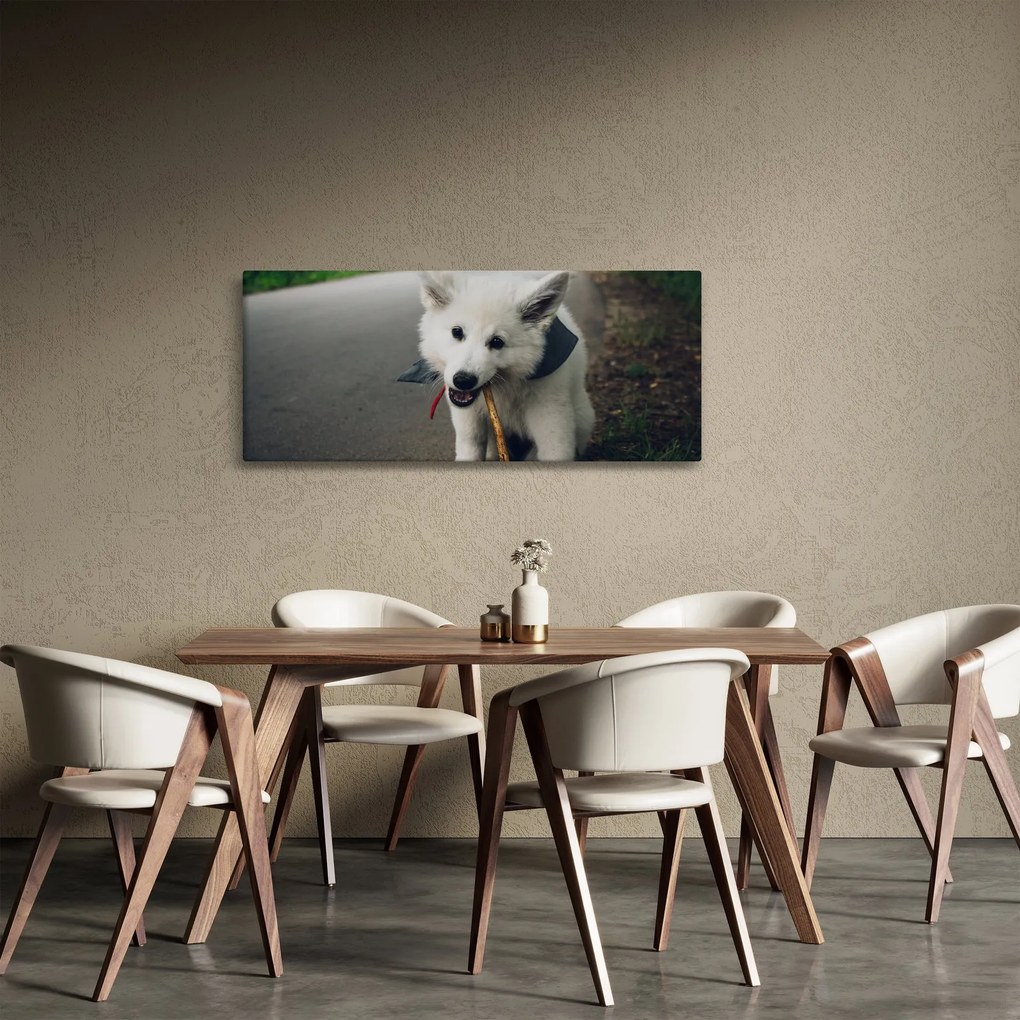 Egy fehér kutya képe (120x50 cm)