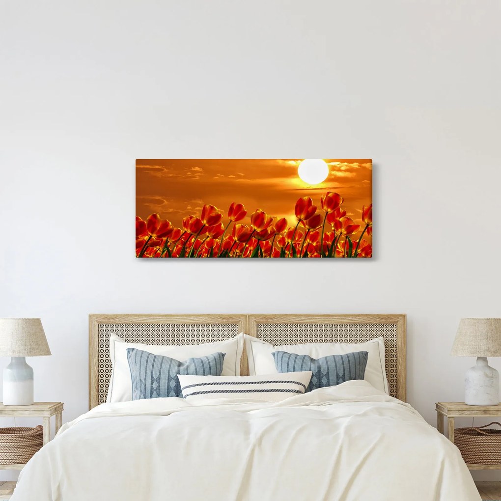 Kép egy virágzó mező tulipánokkal (120x50 cm)