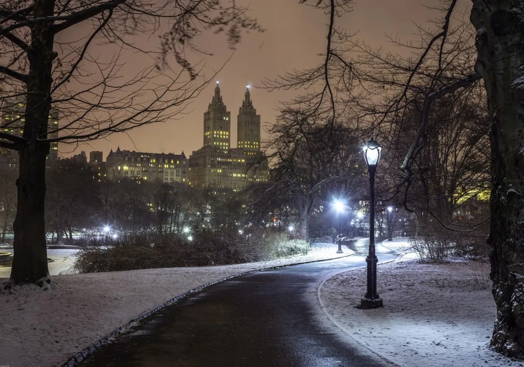 Poszter 100x70cm Ösvény a központi parkon át, Assaf Frank