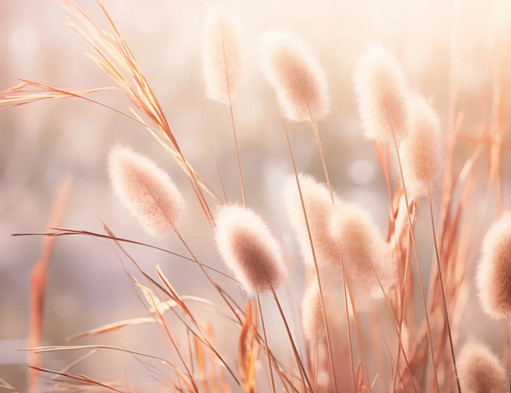 Poszter 65x50cm Napvirágok