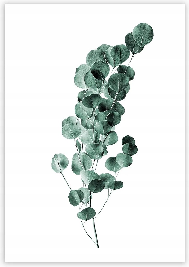 Dekoria Poszter Eucalyptus Emerald Green