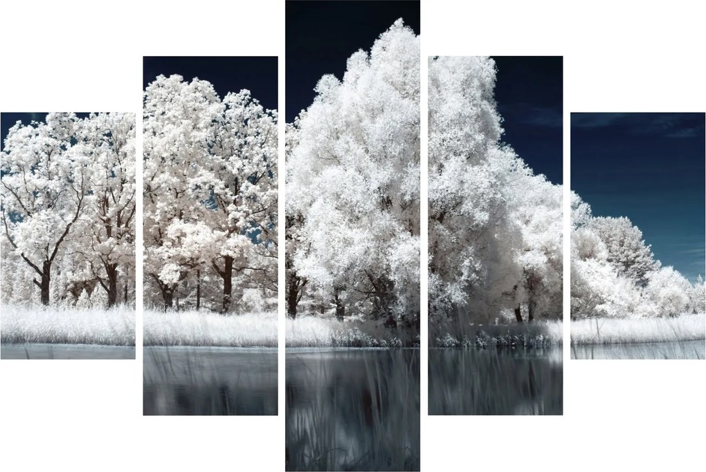 Kép - Hófehér fák (150x105 cm)