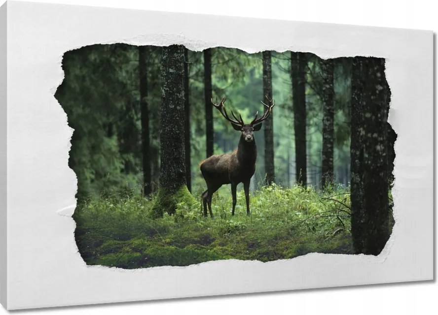 Vászonkép 60x40 Szarvas az erdő közepén