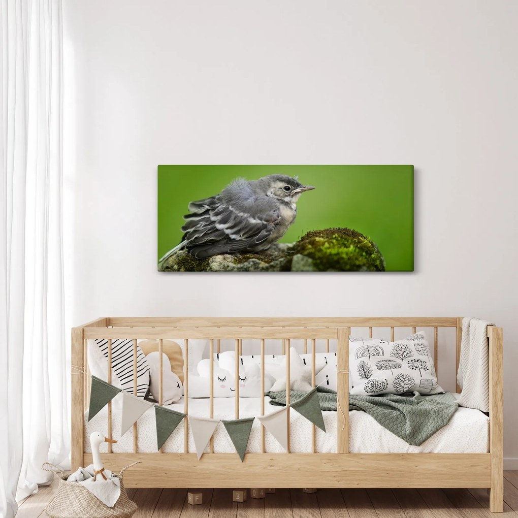 Kép - Légykapó (120x50 cm)
