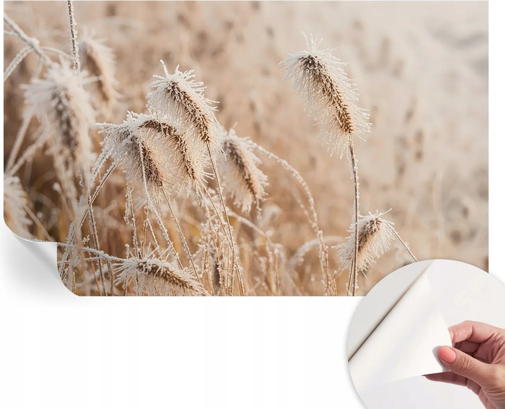 Dekoratív öntapadós fotótapéta Hálószobába Téli tájkép 416x254 cm