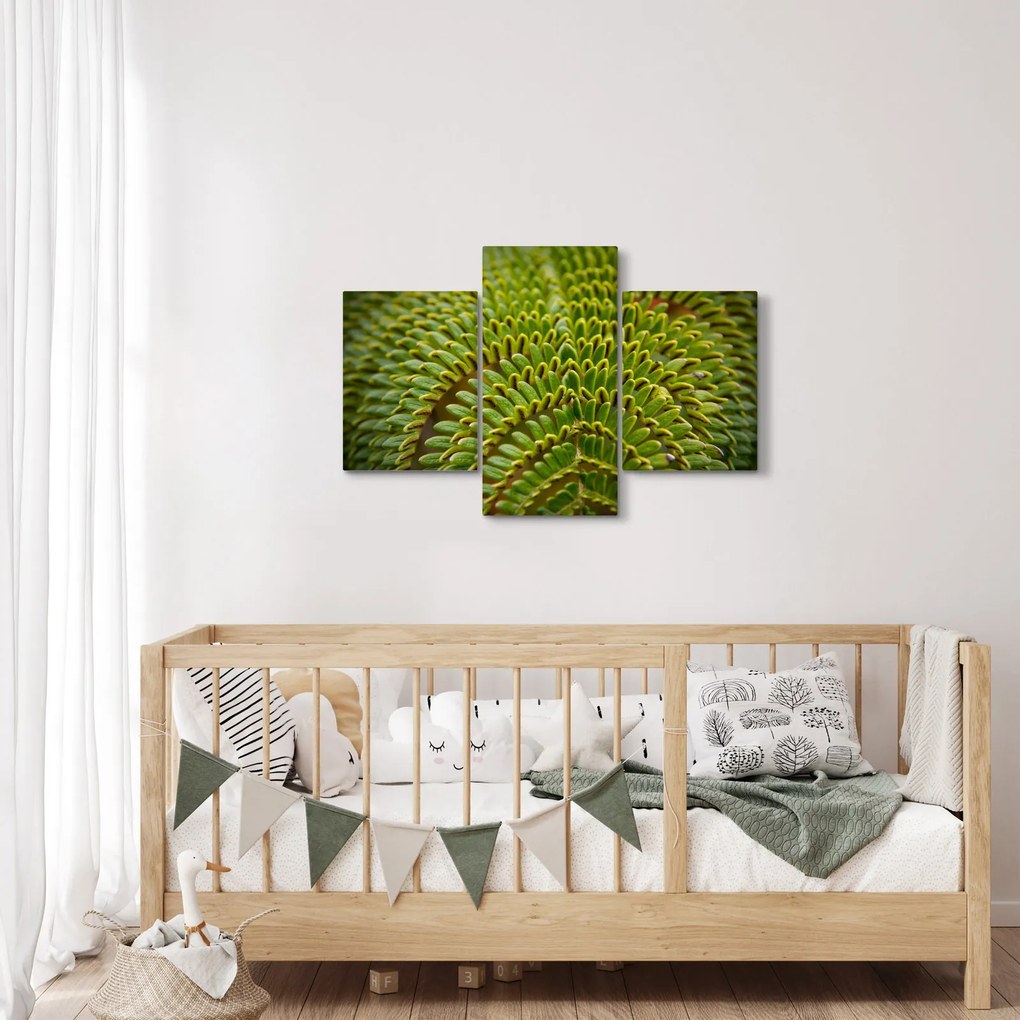 Kép - Fern (90x60 cm)