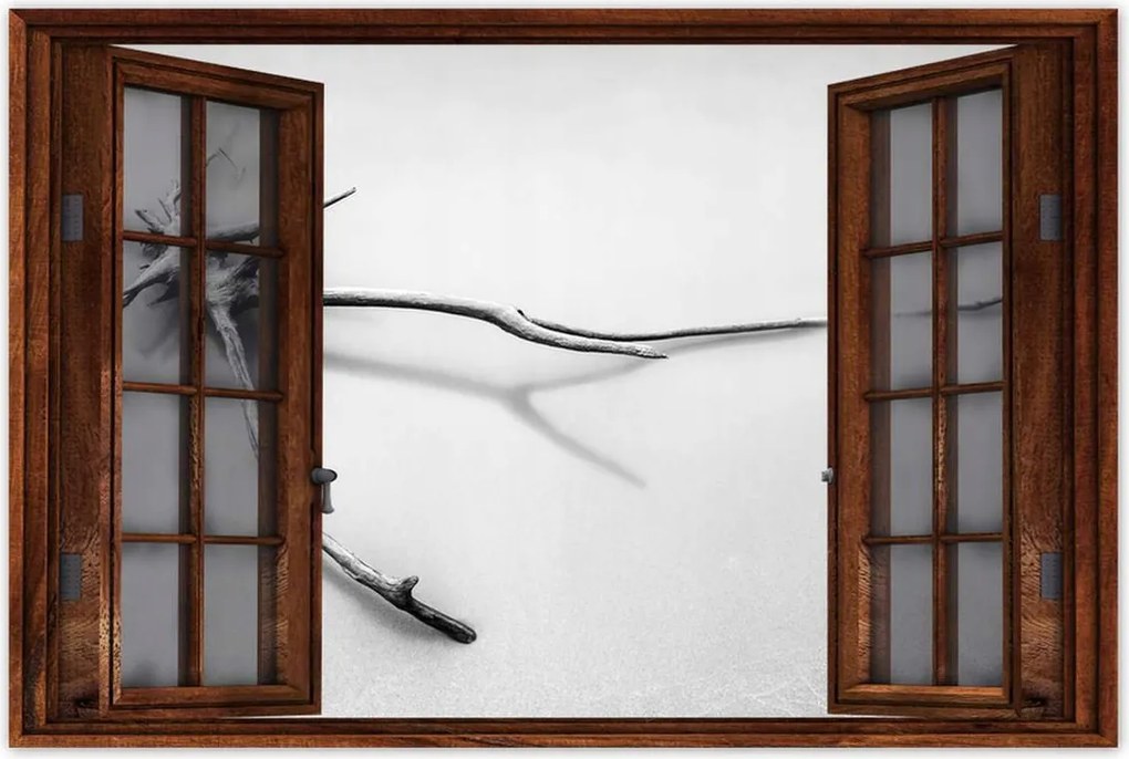 Poszterek 90x60 Tenger Gyökér a tengerparton